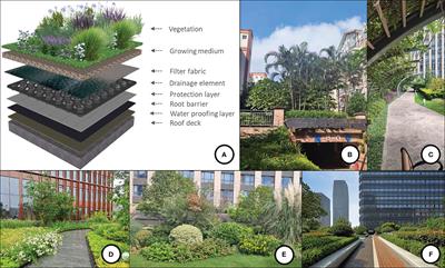 Vicissitudes and prospects of green roof research: a two-decade systematic bibliometric review